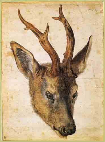 Turn your images into Watercolor, Style Transfer, Online, AI, Use Style:Head of a Stag.jpg